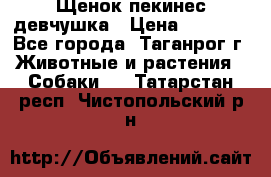 Щенок пекинес девчушка › Цена ­ 2 500 - Все города, Таганрог г. Животные и растения » Собаки   . Татарстан респ.,Чистопольский р-н